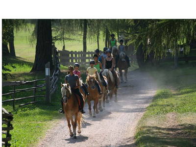 Bild 40 aus  Wietererhof