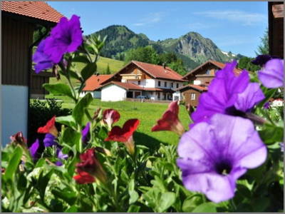 Bild 5 aus  Wendlarhof