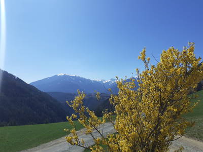 Bild 38 aus  Kreuzplon