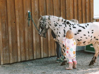 Bild 11 aus  Birkenhof - Ferienhof, Landcafé & Rösterei