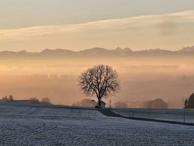 Bild 4 aus  Allgäu Bergferienhof