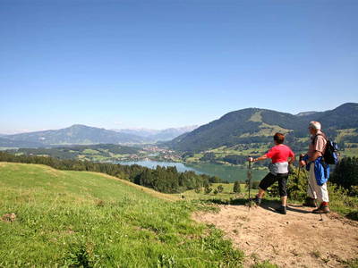 Bild 40 aus  Gmeinder's Landhaus