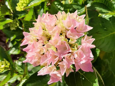 Bild 33 aus  Ferienhof Claußen