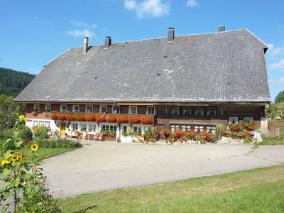 Bild 3 aus  Oberhöfenhof