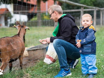 Bild 16 aus  Wellness-Ferienhof Lang