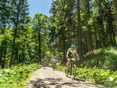 Bild 34 aus  Landhaus Rombach