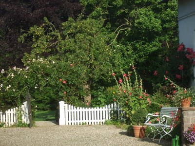 Bild 32 aus  Urlaub bei Familie Schmidt in Wippendorf