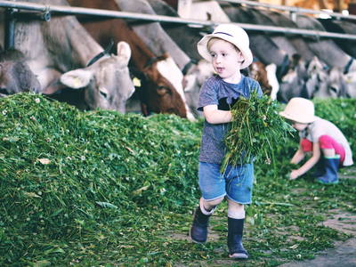 Bild 7 aus  Schädlerhof