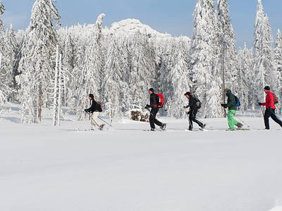 Bild 22 aus  Woferlhof