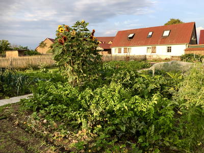 Bild 7 aus  Braunsberger Höfe