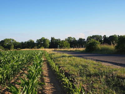 Bild 24 aus  Gut Pälitzhof