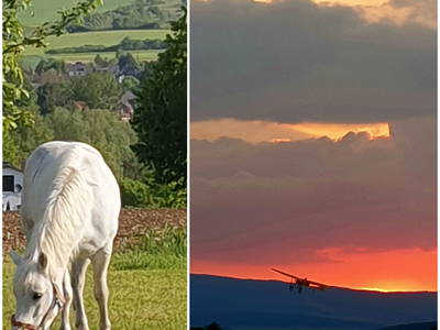 Bild 36 aus  Schmidts Ferienhof - Tierisch guter Urlaub im Herzen Deutschlands