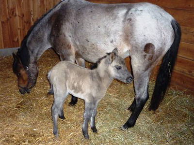 Bild 23 aus  Hof Grüneberg