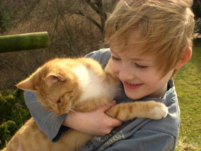 Bild 19 aus  Sternenhof