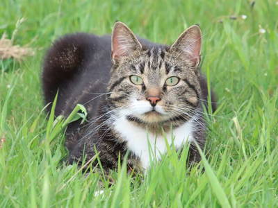 Bild 21 aus  Wohlfühlwohnung im Grünen auf Pferdehof