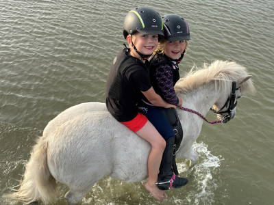 Bild 64 aus  Lindenhof