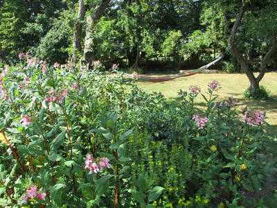 Bild 5 aus  Ferienhof Hohenhenne