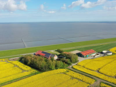 Ferienhof Groot Plaats am Nordseedeich