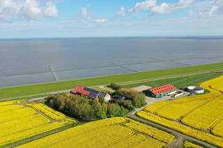 Ferienhof  "Groot Plaats" - Ferienhof Groot Plaats am Nordseedeich