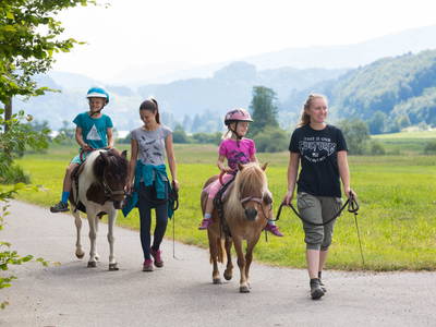 Bild 6 aus  Risthof am Großen Alpsee