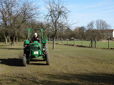 Bild 5 aus  Ferienhof Süllwold