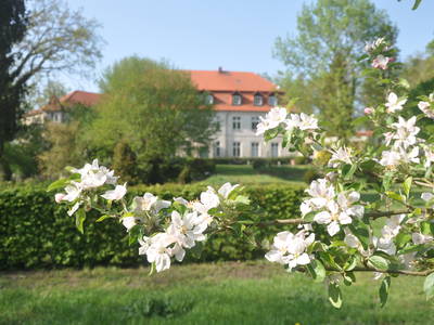 Bild 2 aus  Schloss Neuhausen