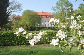 Schloss Neuhausen aus Berge