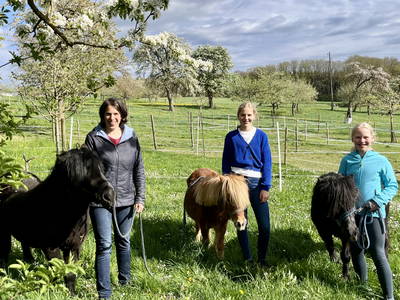unsere Ponys