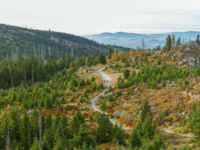 Bild 6 aus  Edlgütl Dein Hideaway