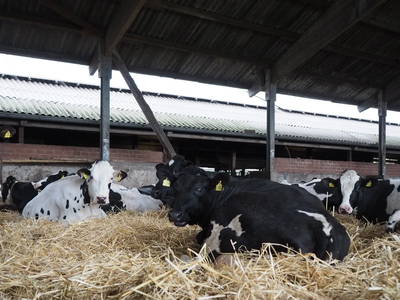 Bild 3 aus  Cohrshof