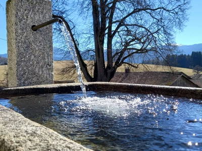 Bild 37 aus  Haberlhof