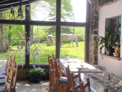 Bild 11 aus  Burgbauernhof am Katzenstein - Ursprünglichkeit des Landlebens gepaart mit Gesundheit und Luxus