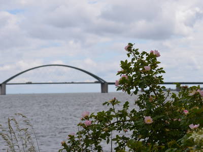 Bild 16 aus  Ferien- und Bauernhof Weiland