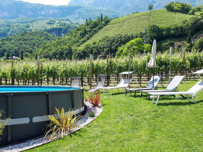 Bild 24 aus  Rebhof Kurtatsch