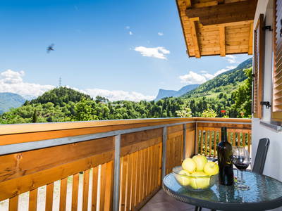 Bild 11 aus  Stettnerhof