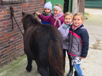 Bild 23 aus  Küstenhof Oldewurtel