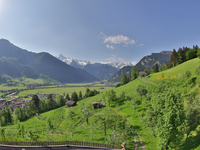 Bild 12 aus  Ferienwohnungen Neuhaushof