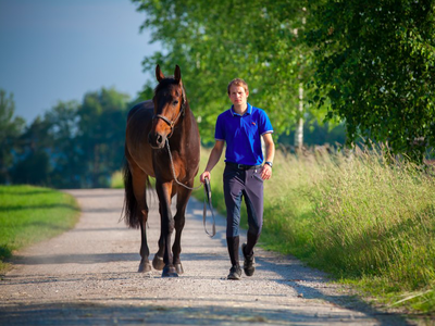 Bild 25 aus  Ferienwohnungen Seehof am Waginger See