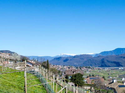 Bild 15 aus  Finkenhof