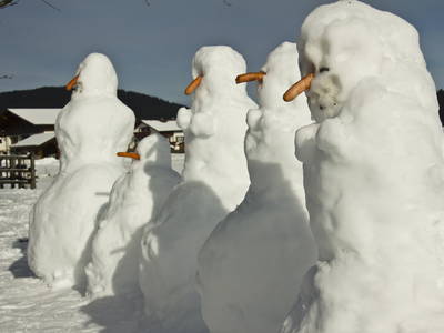 Bild 96 aus  Paulas Bauernhof im Bayerischen Wald