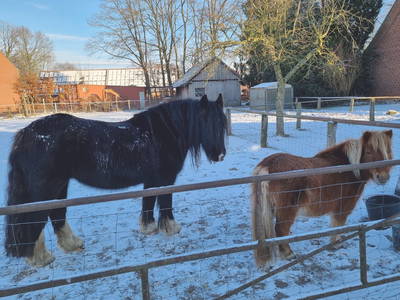 Bild 8 aus  Hof  Wesselmann