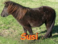 Bild 20 aus  Gasthof zum Grünen Baum