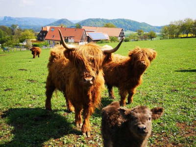 Bild 9 aus  Alter Gutshof Papstdorf in der Sächsischen Schweiz