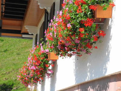 Bild 8 aus  Hansenhof