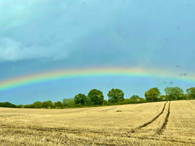 Bild 14 aus  Hof Sonnenmeer - nachhaltig, ökologisch & einzigartig schön
