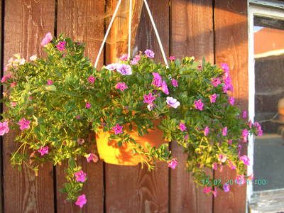 Bild 28 aus  Vogtlandhof Hohe Reuth