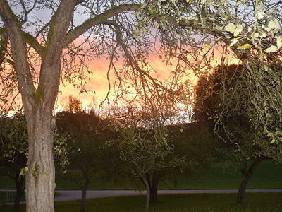 Bild 16 aus  Stöcklhof in Siegsdorf