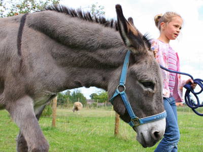 Bild 17 aus  Sonnenlandhof