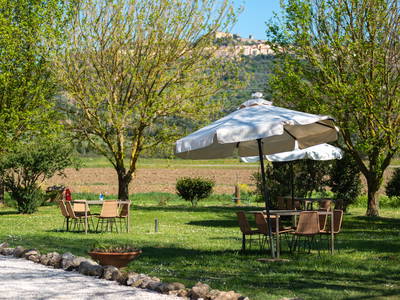 Bild 12 aus  Tenuta Il Cicalino