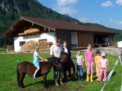 unsere Ponys